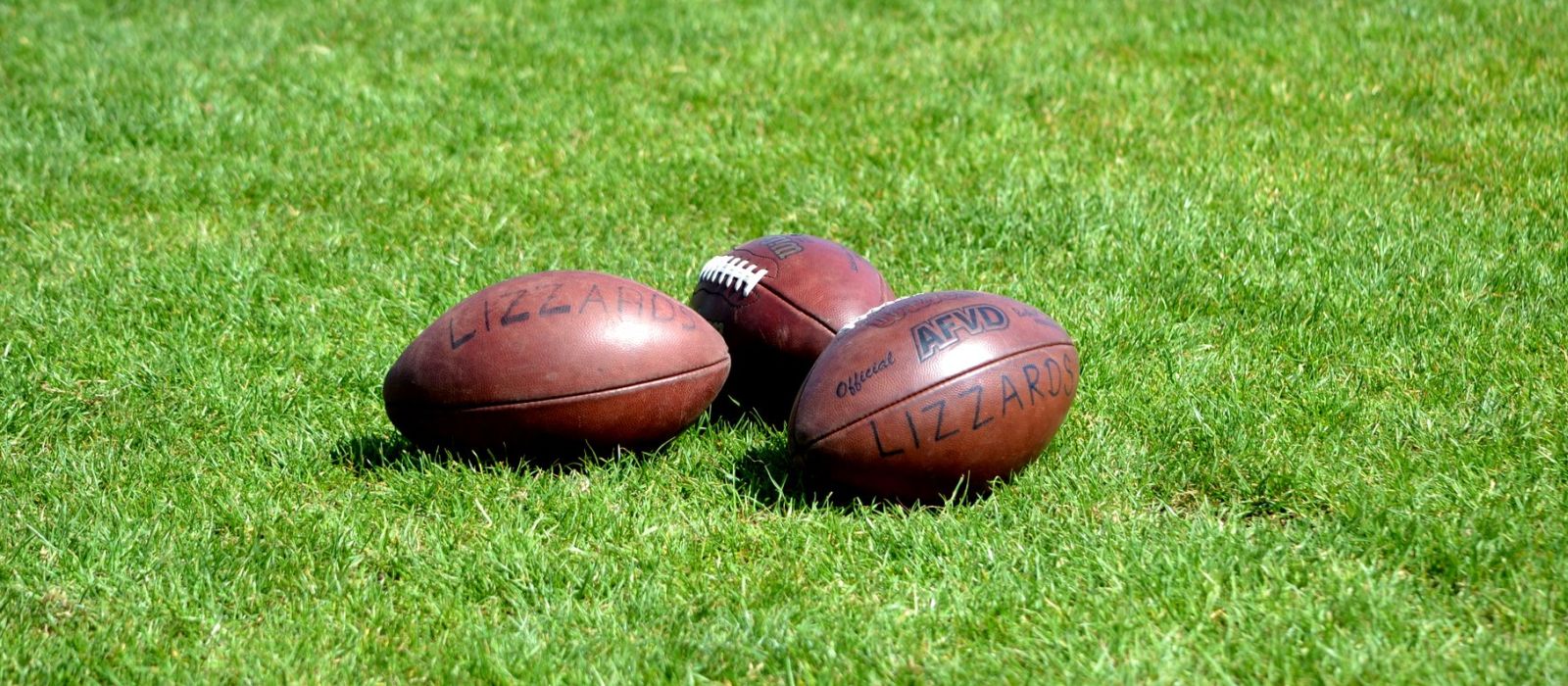 Lizzards Flag Football