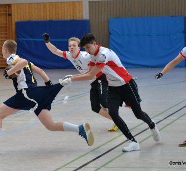 Kelkheim Lizzards vs. Hanau Hornets U16 Flag Football - Flagliga Mitte Winter 2019