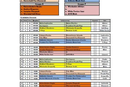 Rhein Main Bowl 2019 - Ergebnisse